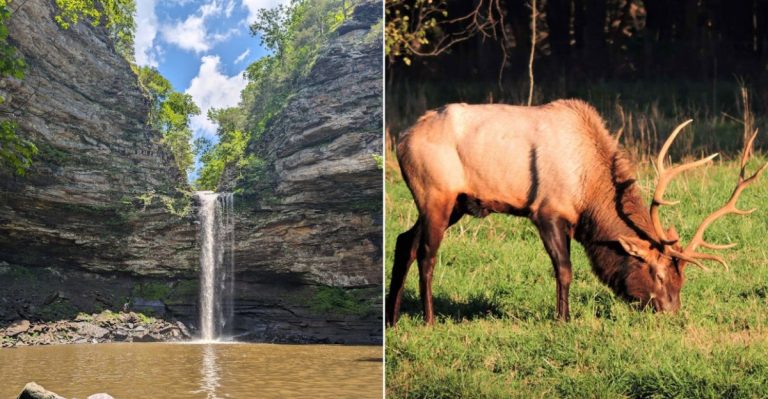 See 10 Stunning Natural Wonders On This 11 Hour Arkansas Road Trip