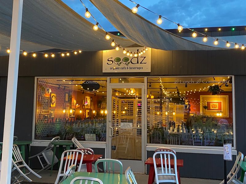 Seedz Cafe, Steamboat Springs Seedz Cafe, Steamboat Springs