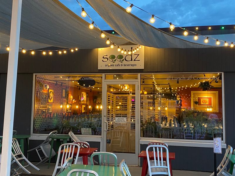 Seedz, Steamboat Springs