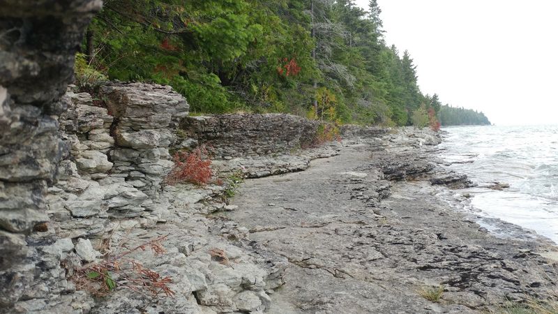 Seek Out The Fossil Ledges Seek Out The Fossil Ledges