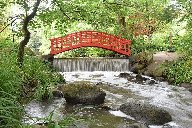 Seek Out The Japanese Garden