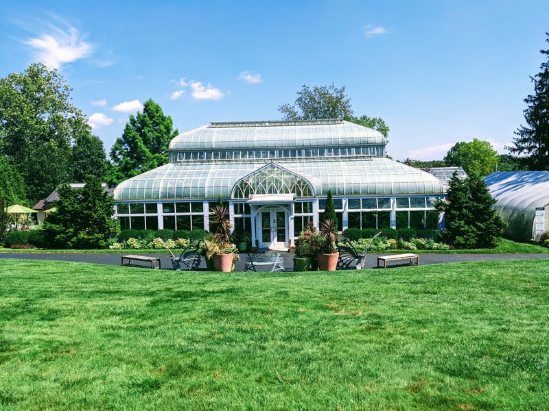 The Conservatory and Butterfly House