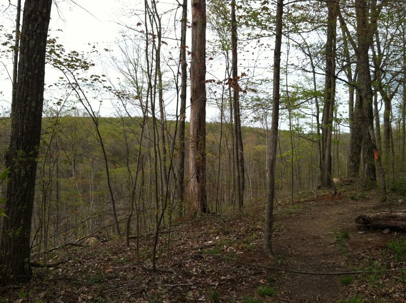 Selinde Roosenburg Memorial Backpack Trail, McArthur