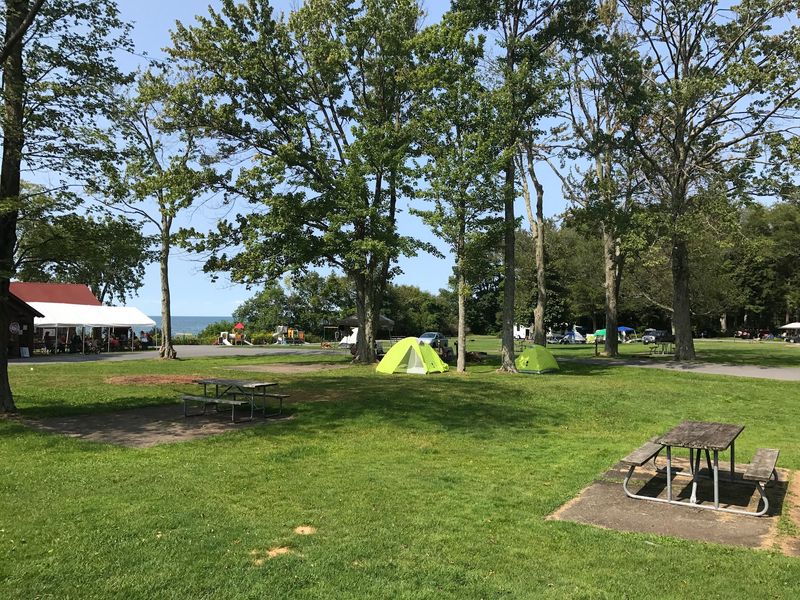 Selkirk Shores State Park