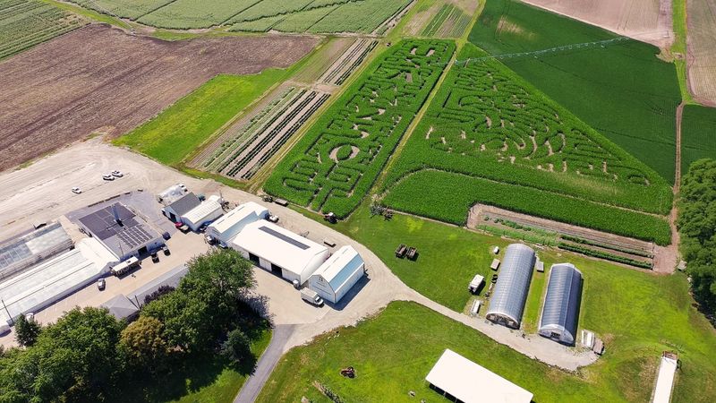 Selmi's Farm Market (Rock Falls)