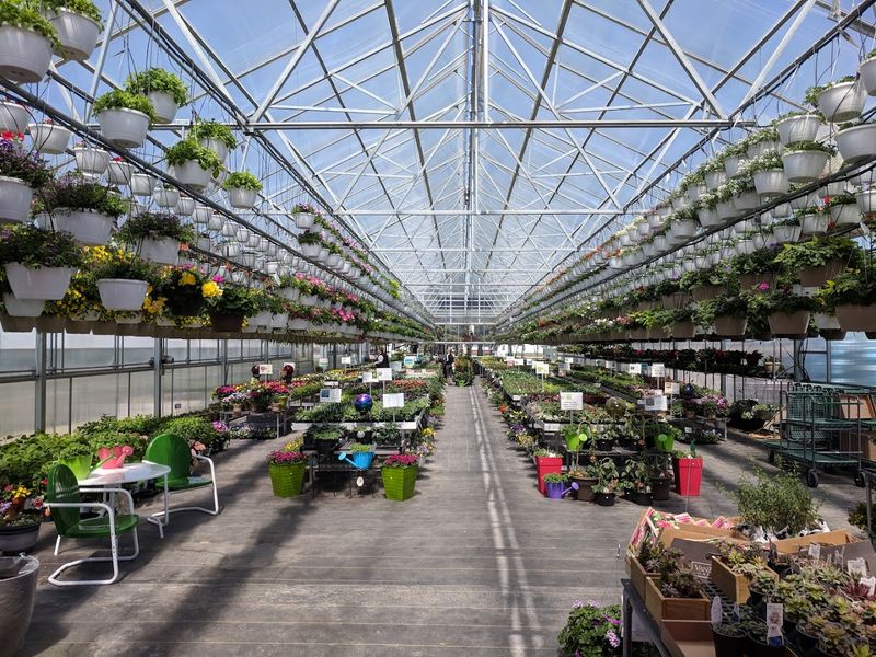 Selmi's Greenhouse & Family Farm, Rock Falls