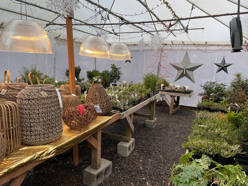 Seminars, Workshops And Seasonal Gatherings