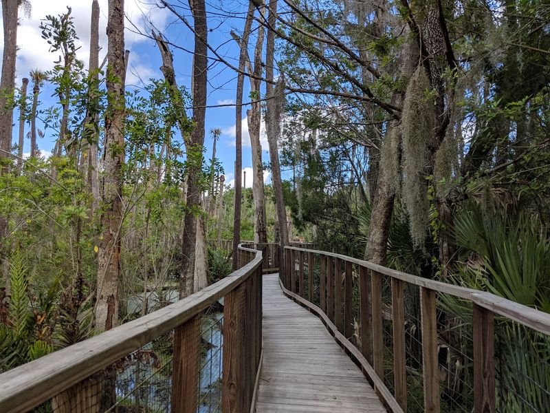 Seminole History That Brings The Past Alive