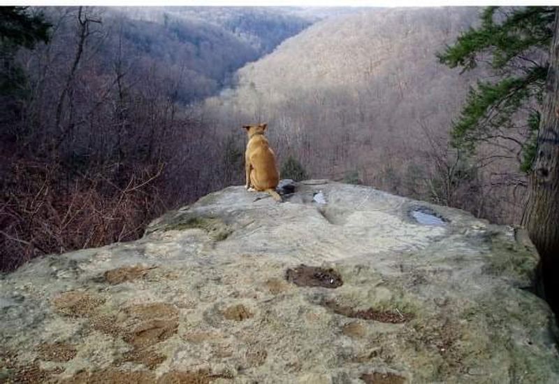 Cleland Rock, McConnells Mill State Park, Lawrence County, Pennsylvania