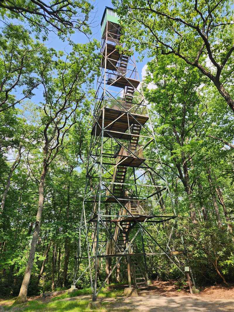 Seneca Trail At Cook Forest State Park, Cooksburg, Pennsylvania Seneca Trail At Cook Forest State Park, Cooksburg, Pennsylvania