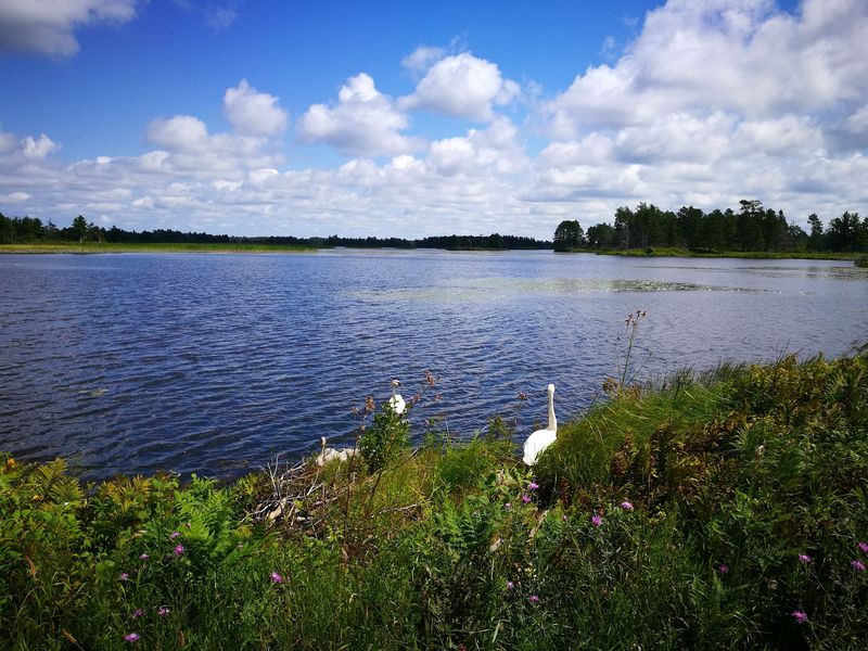 Seney National Wildlife Refuge