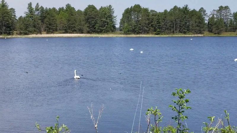 Seney National Wildlife Refuge, Seney