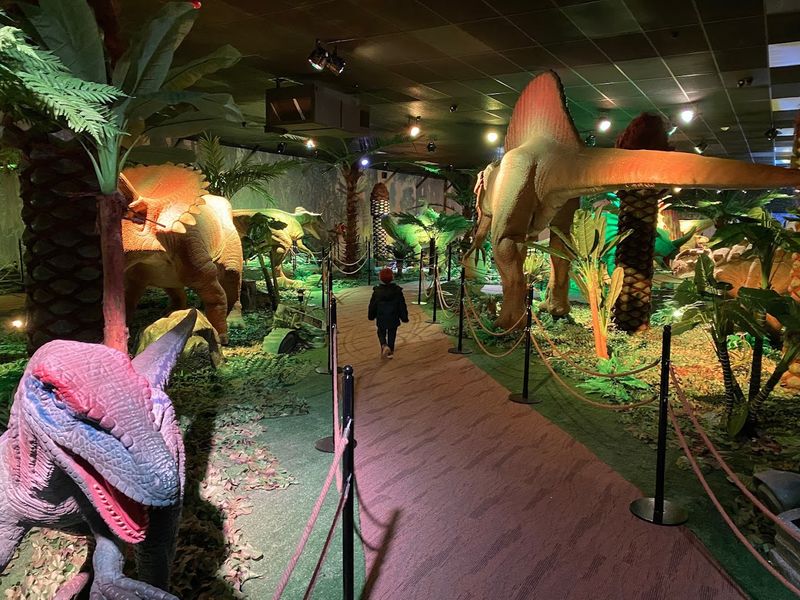 Fossil Digging Station For Kids