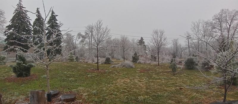 Rings, Ribs, And Riddles