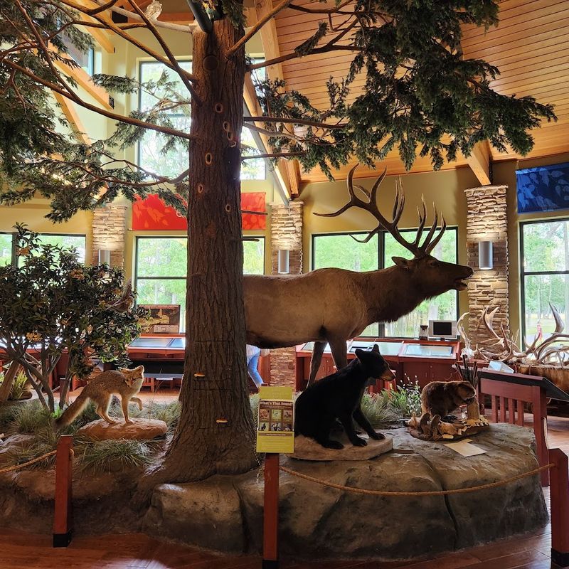 The Visitor Center Provides Educational Exhibits and Resources