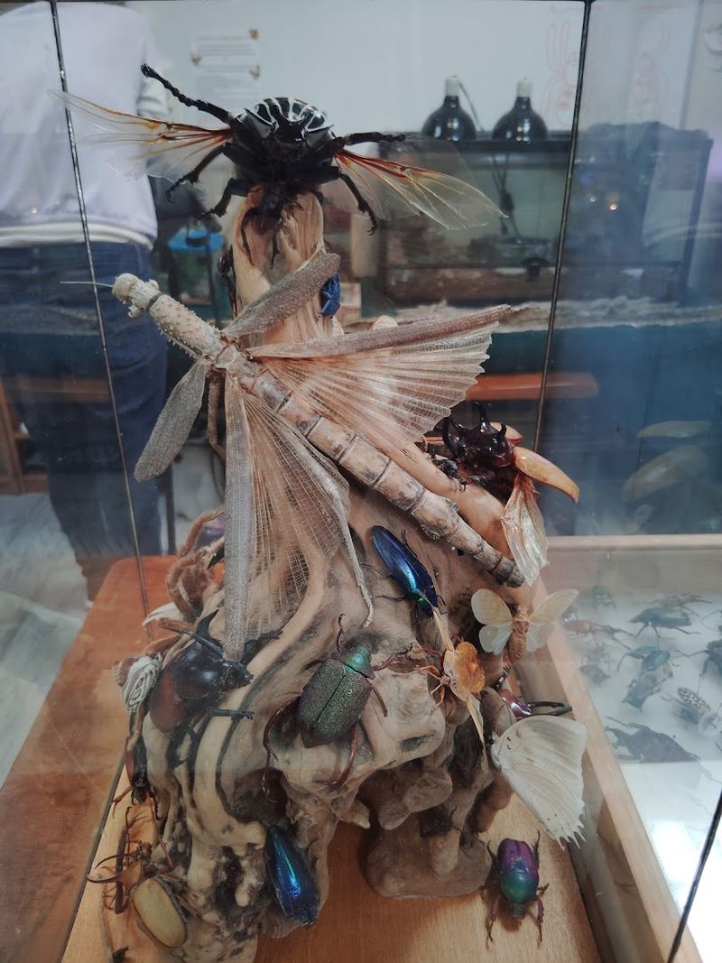 Plan Your Visit Right