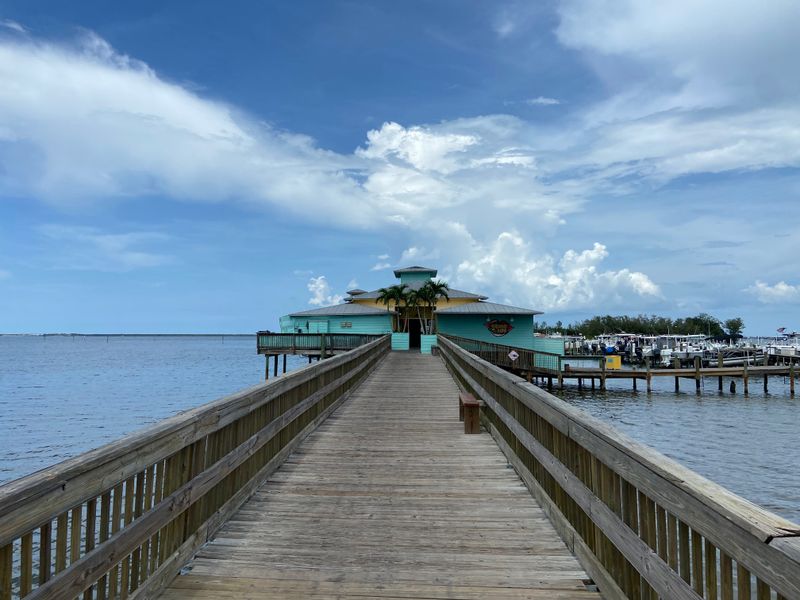 Prices, Value, And Practical Tips For Newcomers