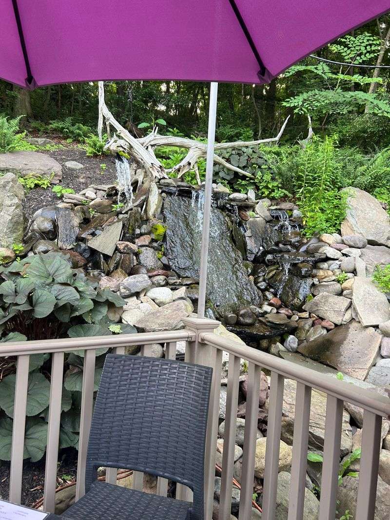 Dog-Friendly Patio Welcomes Furry Friends