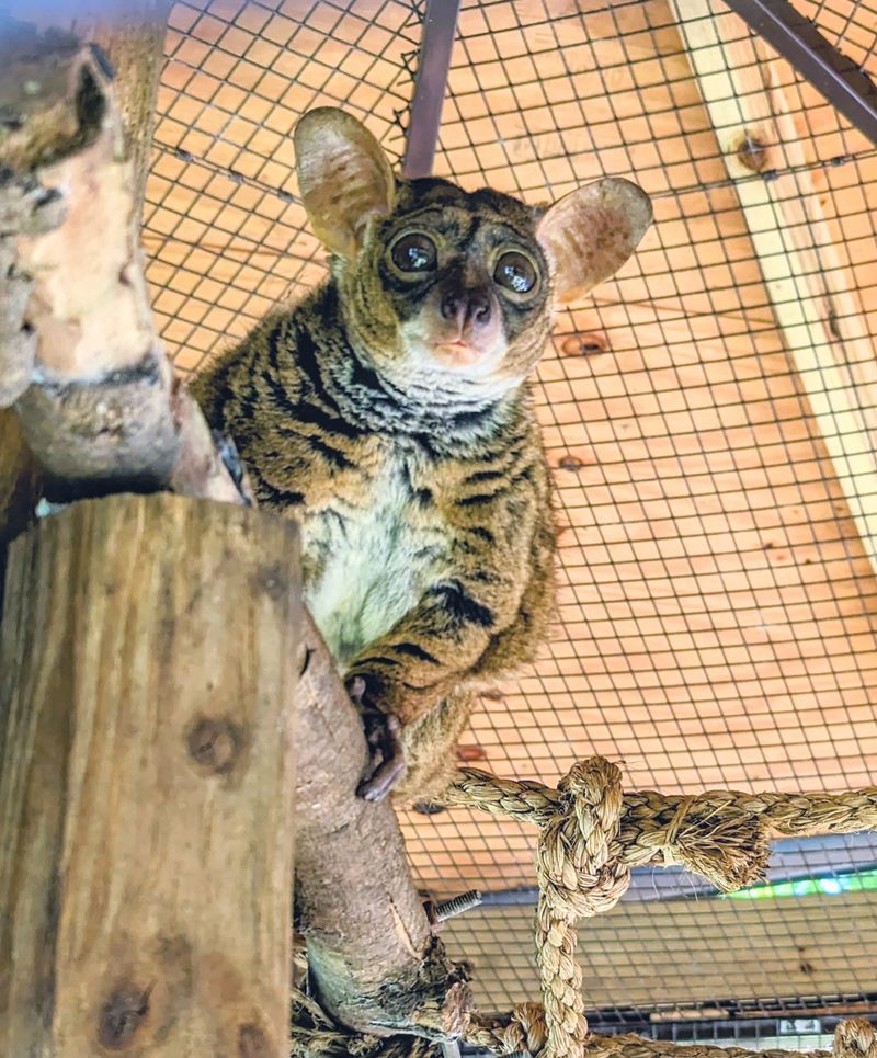 Hours, Reservations, And Pricing Value