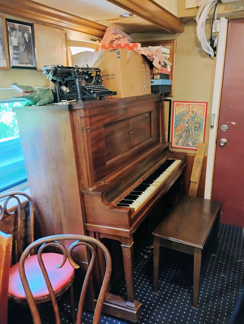 Atmosphere, Crowd, And Why Families Love It