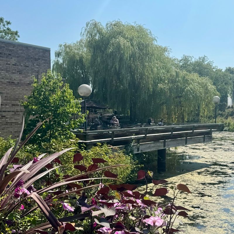 What To Expect For Your Budget