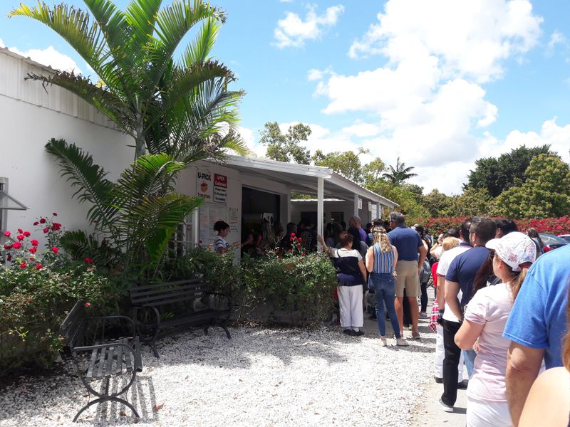 Customer Experience And Atmosphere