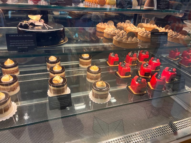 Best Times To Visit And Tips For First Timers