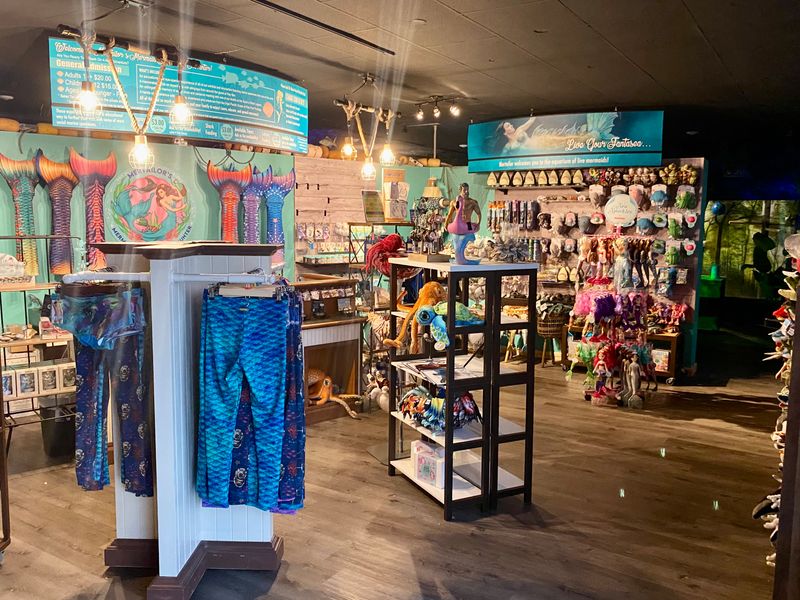 Value, Tickets, And Practical Tips