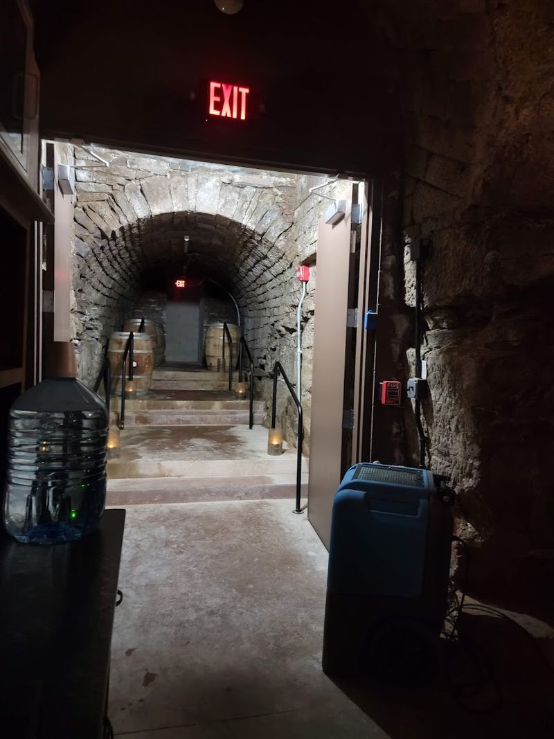 Practical Tips Before You Go