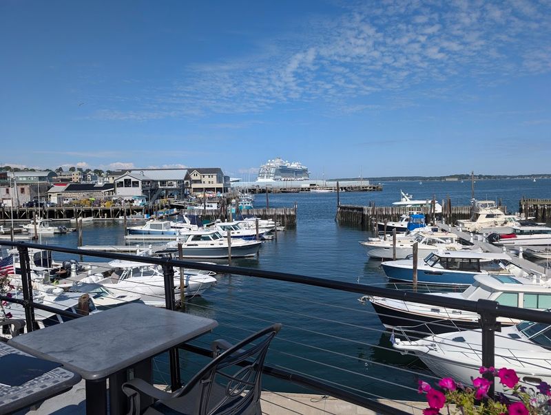 Harbor Views You’ll Love