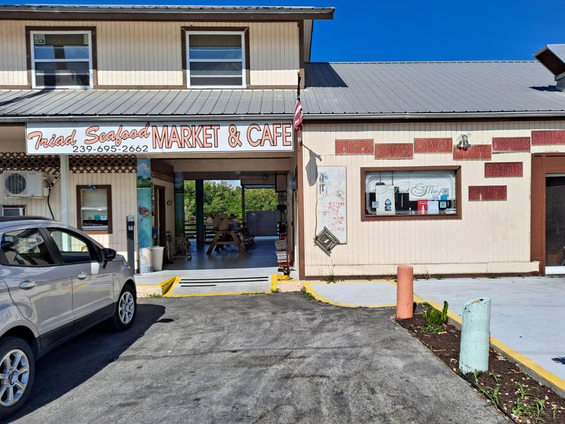 My Festival Detour That Became A Habit