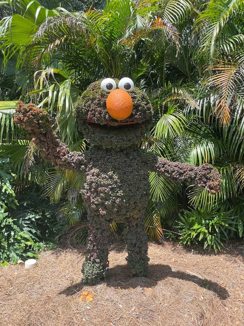 Sesame Street Safari Of Fun: Where the Youngest Guests Become The Star