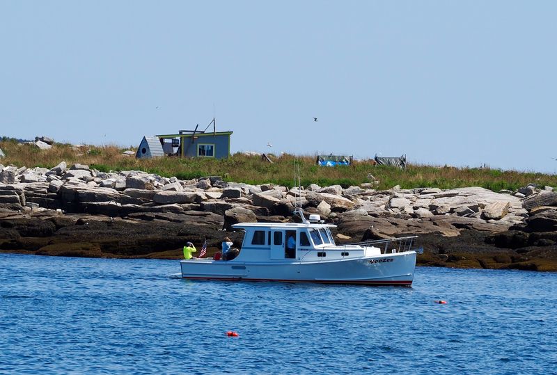 Setting Sail From A Real Working Harbor Setting Sail From A Real Working Harbor