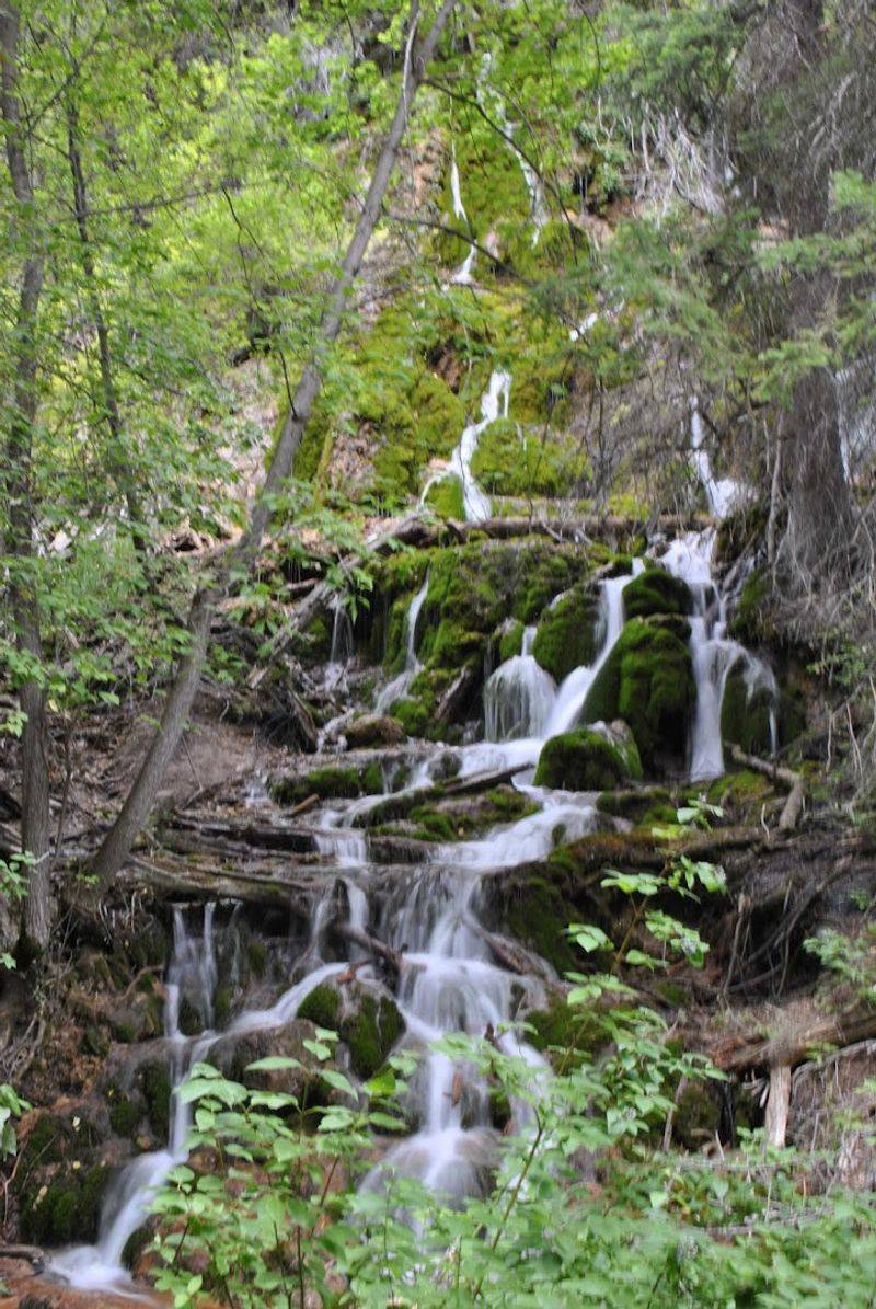 Seven Bridges And Countless Streams: The Trail's Middle Miles Have Their Own Payoff