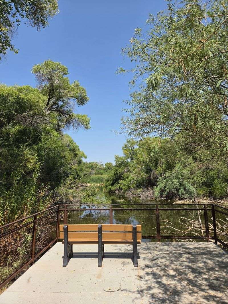 Seven Easygoing Trails That Never Rush You