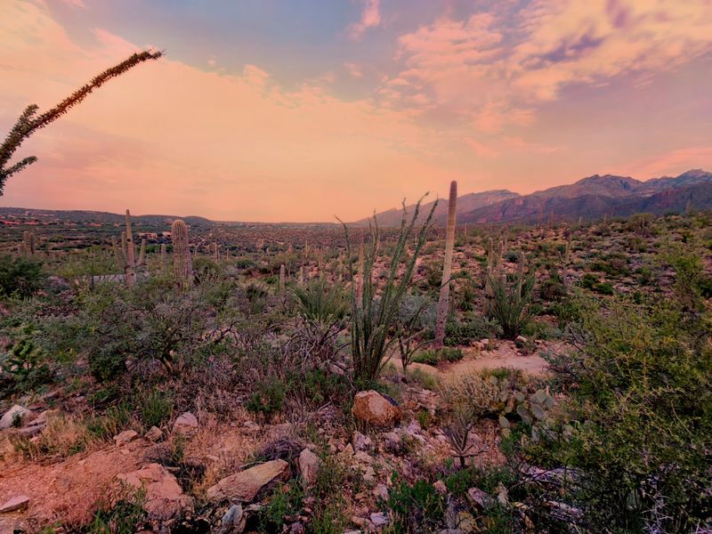 Seven Falls Trail, Sabino Canyon Recreation Area, Tucson