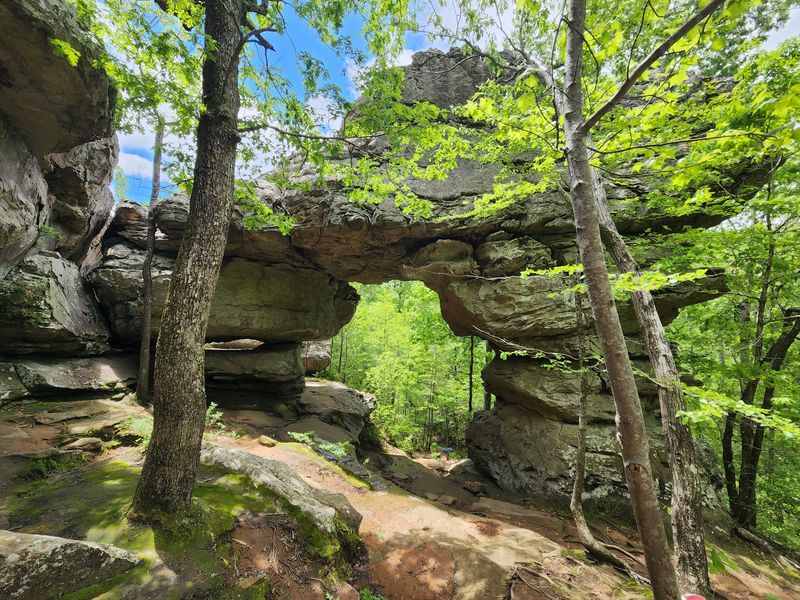 Seven Hollows Trail, Morrilton