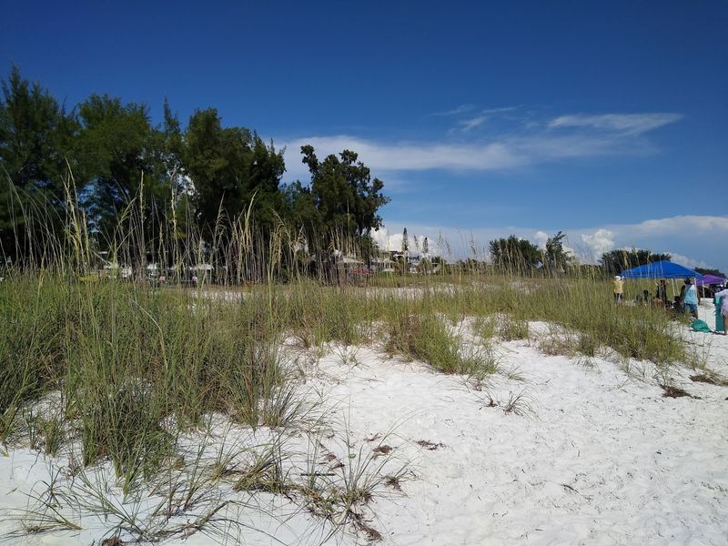 Seven Miles Of Pure, Crowd-Free Shoreline