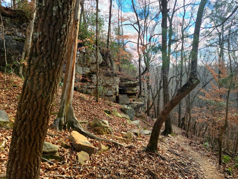 Seven Trails, Zero Boring Steps