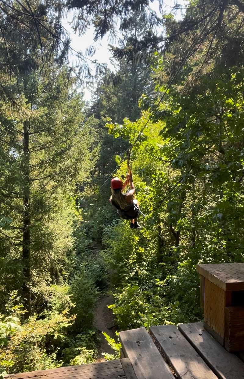 Seven Ziplines And Three Sky Bridges Seven Ziplines And Three Sky Bridges