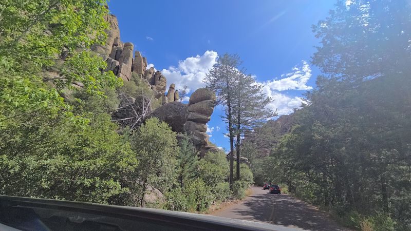 Seventeen Miles of Trails Branching Off the Drive