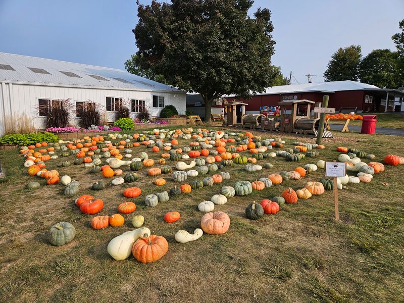 Seventy-Five Years Of Family Farming Tradition