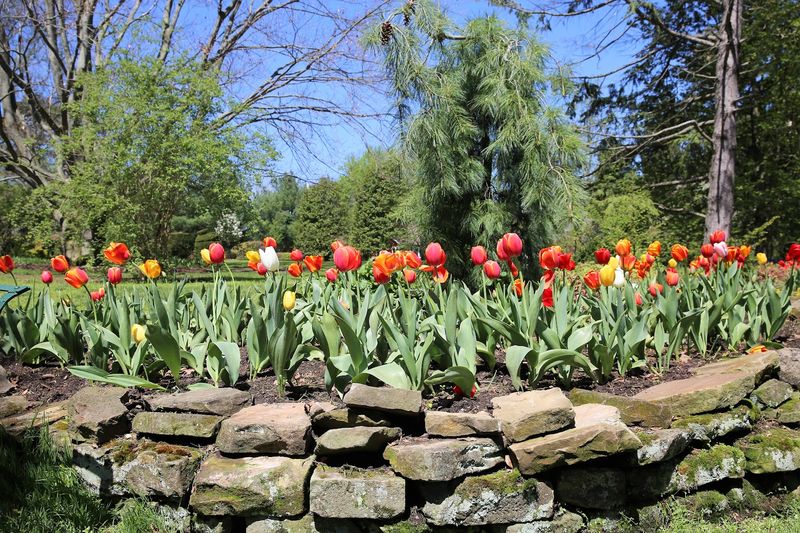 Seventy-Seven Acres Of Pure Botanical Variety Seventy-Seven Acres Of Pure Botanical Variety