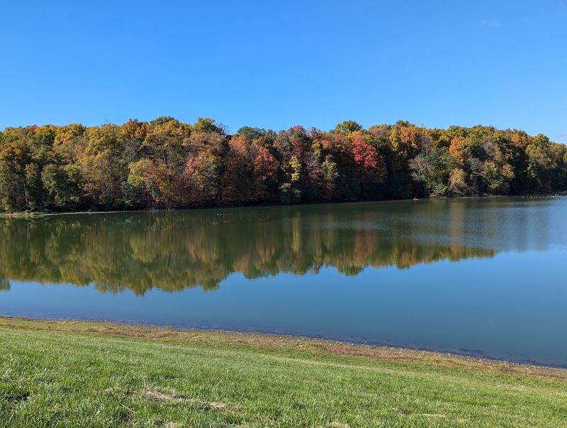 Seville, Medina County