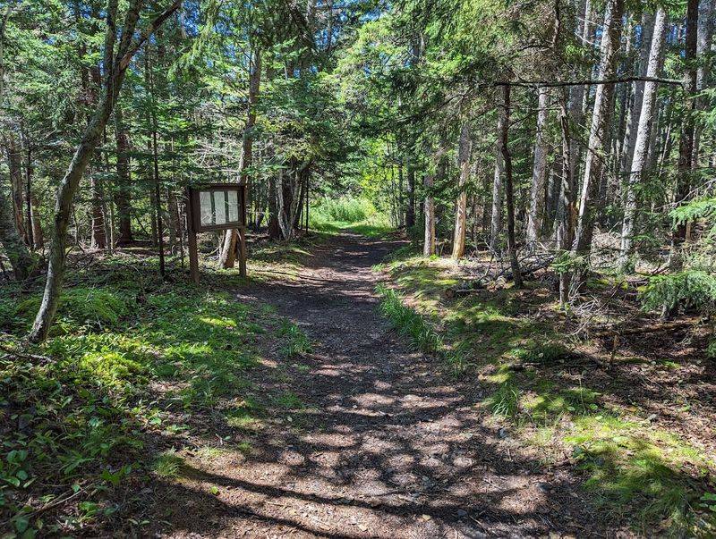 Shackford Head State Park Trails, Eastport Shackford Head State Park Trails, Eastport