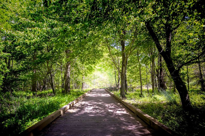 Pettigrew State Park