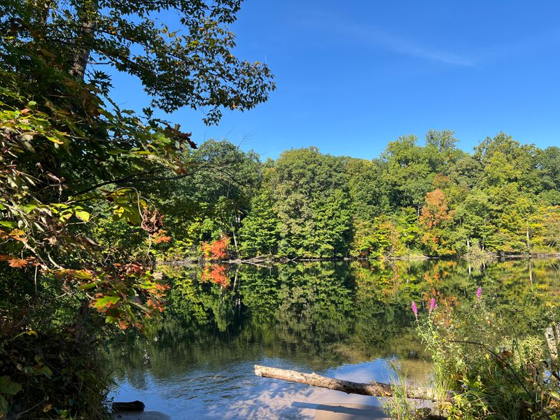 Welcome Center, Cafe, And Small Pleasures