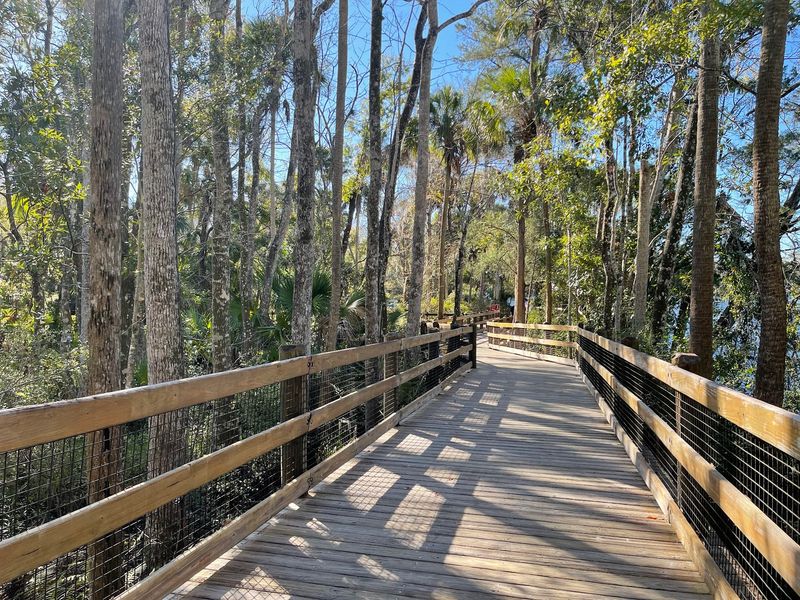 Shaded Boardwalks and Easy Trails