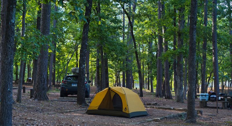 Shaded Campsite Views Shaded Campsite Views