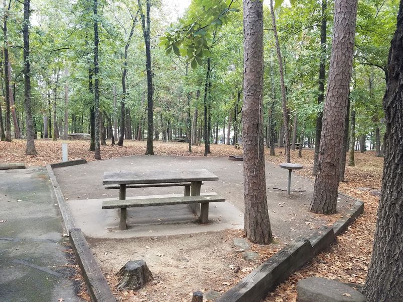 Shaded Campsites Near The Lake